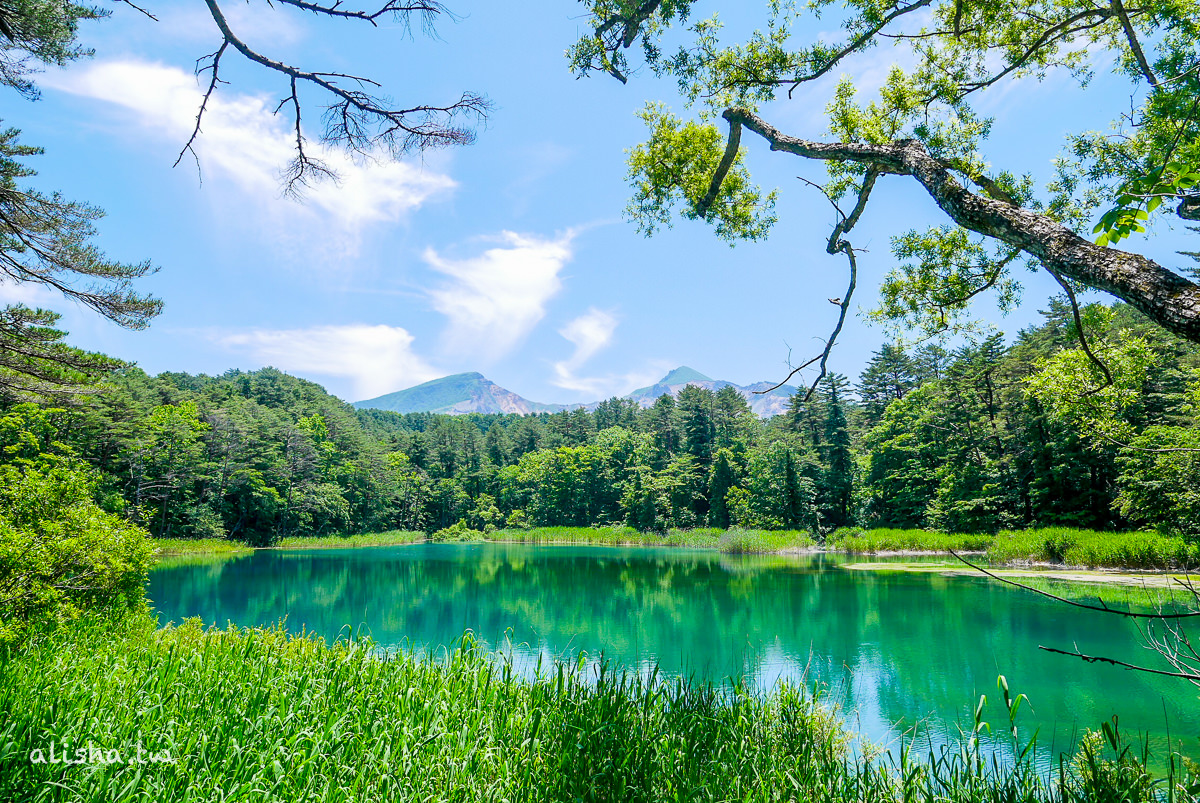 日本福島 五色沼自然探勝路 療癒的林間步道旅 艾莉莎文字行旅